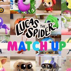 Lucas the Spider Match up Lucas the Spider Match up
