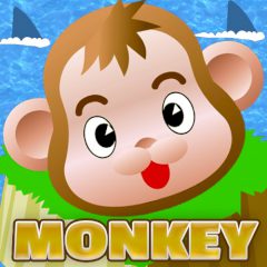 Monkey Monkey