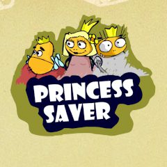 Princess Saver Princess Saver