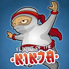 Flight of the Ninja Flight of the Ninja