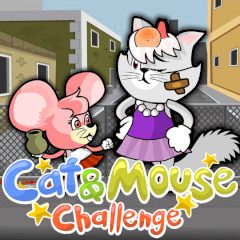 Cat & Mouse Challenge Cat & Mouse Challenge