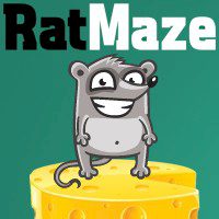 Rat Maze Rat Maze