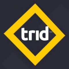 Trid Trid