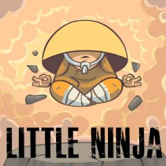 Little Ninja Little Ninja