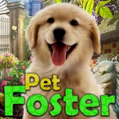 Pet Foster Pet Foster