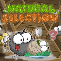 Natural Selection Natural Selection