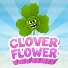 Clover Flower Clover Flower