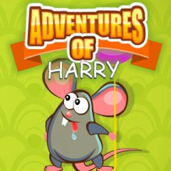 Adventures of Harry Adventures of Harry