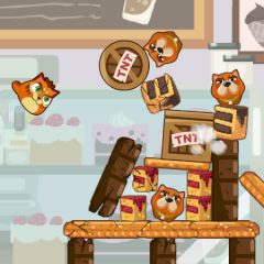 Cats Cannon Cats Cannon