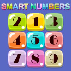 Smart Numbers Smart Numbers