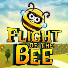 Flight of the Bee Flight of the Bee