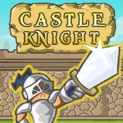 Castle Knight Castle Knight