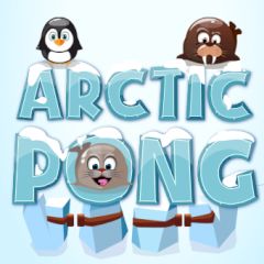 Arctic Pong Arctic Pong