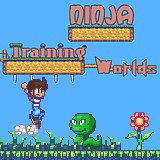 Ninja Training Worlds