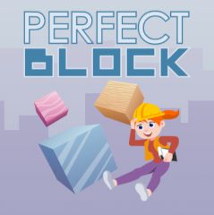 Perfect Block