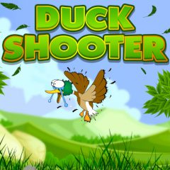 Duck Shooter 🎮️ Play Online