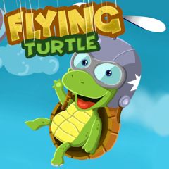 Flying Turtle