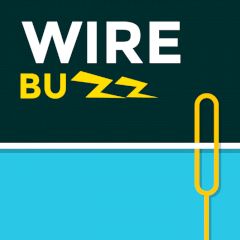 WireBuzz WireBuzz