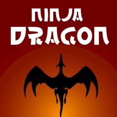 Ninja Dragon Ninja Dragon