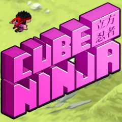 Cube Ninja