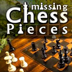 Missing Chess Pieces