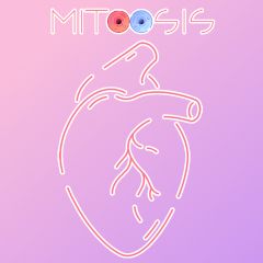 Mitoosis