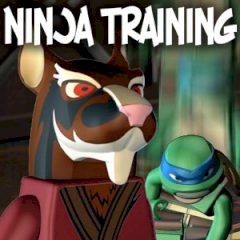 Ninja Training