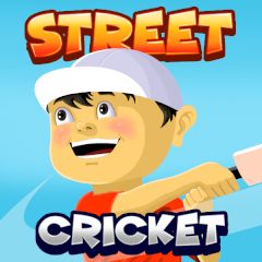 Street Cricket Street Cricket
