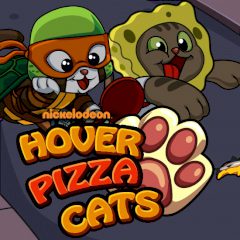 Hover Pizza Cats