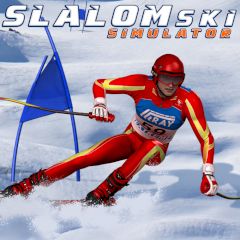 Slalom Ski Simulator