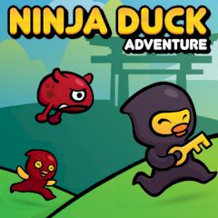 Ninja Ducks Adventure