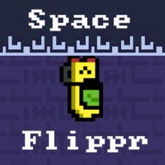 Space Flippr