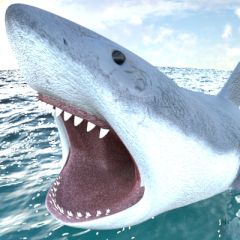 Shark Simulator Beach Killer